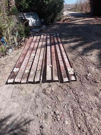 شيلمان أوكراني • ٤.٥م • عدد ١١