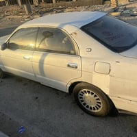 كامري بطة • ٢٫٥ • البصرة