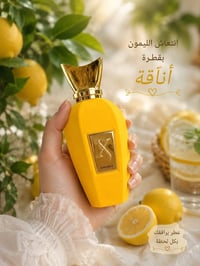 عطور • صيف ٢٠٢٦ • ثبات ٢٤ ساعة