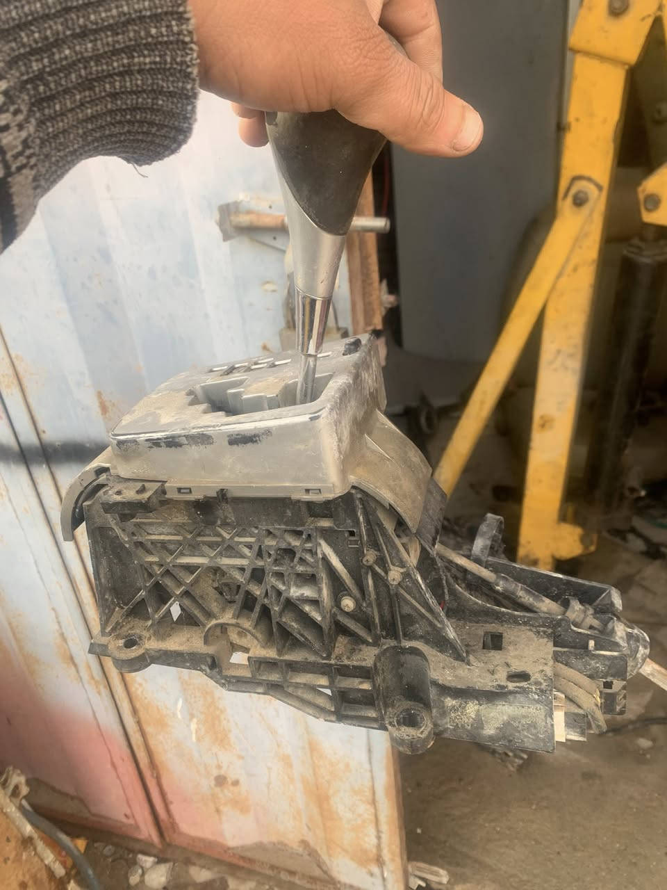 تفصيخ شتحتاج تصل وتدلل مكاني بغداد بديات ***********.   وعندي تخم ويل هوة وتايرة  ودعامية خلفية. وبيبان.  صفر أو تريد بيض كامل هنة وجامهن وبطاينهن
