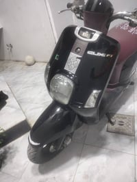 بوليسي وارد ياباني • ماروني مميز • كفالة عامة