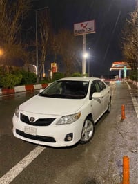 كورولا • ٢٠١٠ • رانية