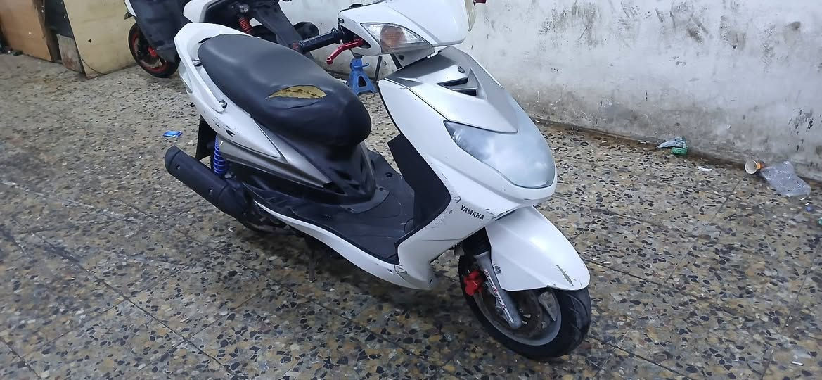 السلام عليكم سكنس فحل نوزل دراجه جاهزه شلعه معدل بوشه ٥٨ تفاصيل ***********
