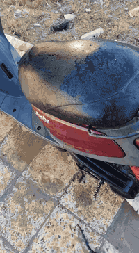 منغولي مكفولة كلشي شغال هندر سلف كهرباىيات شلعة تخبل جاهزة من كلشي  محركها يخبل اخرس  نضافتها شوفه عينك  نضيفه الدراجه المكان 
كربلاء  گنطرة السلام
350 وبيها مجال حك الجية شراي 
خاص مفتوح او اتصل على الرقم
***********
