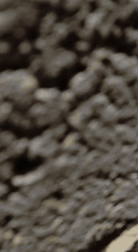 باسكل ياباني • موديل 2019 • كربلاء امن داخلي