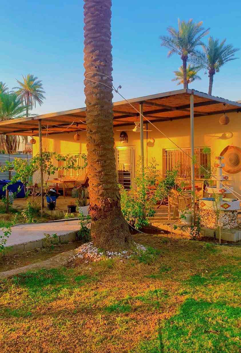 السلام عليكم مزرعه مساحة دونم الواجهة ٣١متر والنزال ٨٢متر تحتوي على بيت وحديقه وبستان كراج يأخذ ٤سيارات نخل وتين ورمان وتفاح بيه بير ارتوازي وماء اساله كهرباء وطنيه ومولده اناره كامله مؤثثه بالكامل اثاث درجه أولى سبالت موقعها بغداد الدوره هور رجب مسيجه بالكامل  طابو ٢٥ زراعي السعر ٣٥٠ مليون وبيه مجال رقم الهاتف ***********

