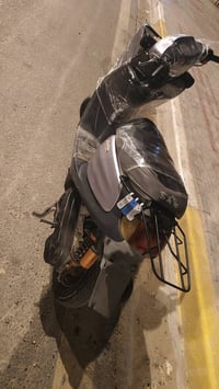 منغولي • ٣٥٠ • فول شلعه