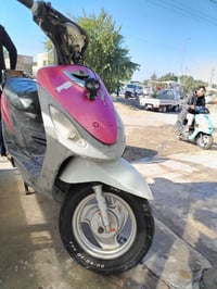 ماكس منغولي • بوشه ٥٥ • حله ورديه