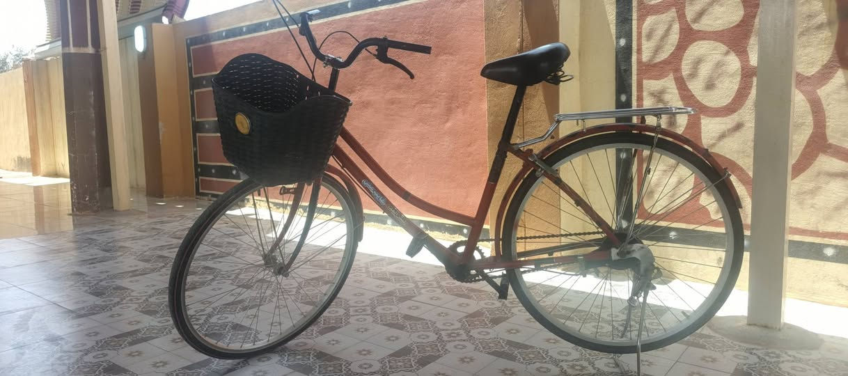السلام عليكم  بايسكل 🚲🚲🚲للبيع نضيف بريكات فول بايدر زنجيل على تايرات 
ستان كشن فول وسلة السعــر  خاص مستعجل على البيع 🗣🗣
المكان ديالى /العظيم /


**إذا كنت صاحب هذا الإعلان وتريد حذفه لأي سبب، رجاءا أرسل رسالة إلى الدعم الفني**