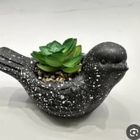 سنادين صغيرة • مجمع الرحمه • توصيل محلي