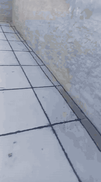 ***********
🏠 مستعدّون لخدمتكم في تنفيذ أعمال العزل بكافة أنواعها!
نقدم لكم أفضل خدمات تطبيك البيوت ودوائر الدولة بأعلى جودة وبإشراف هندسي احترافي.

✨ خدماتنا تشمل:
✔ قلع وتجديد الماستك والإيزوكام
✔ تنفيذ جميع أعمال العزل حسب المواصفات المطلوبة
✔ توفير قير – نايلون – لباد – فلين – تراب
✔ عمل نظيف، سريع، وبجودة عالية

💪 نضمن لك:
• شغل مضبوط
• مواد أصلية
• أسعار مناسبة
• فريق متخصص جاهز لأي مشروع

📲 ل
