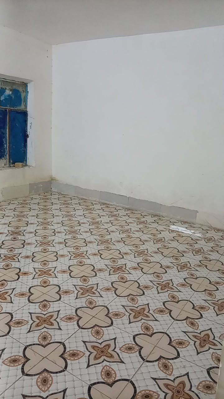 السلام عليكم 
بيت لايجار  مكون من غرفتين ومطبخ وصاله وستقبال وصحيات  مساحه 250
عنوان حي ضبيع قرب المدارس الاستفسار اتصال ع رقم ***********
