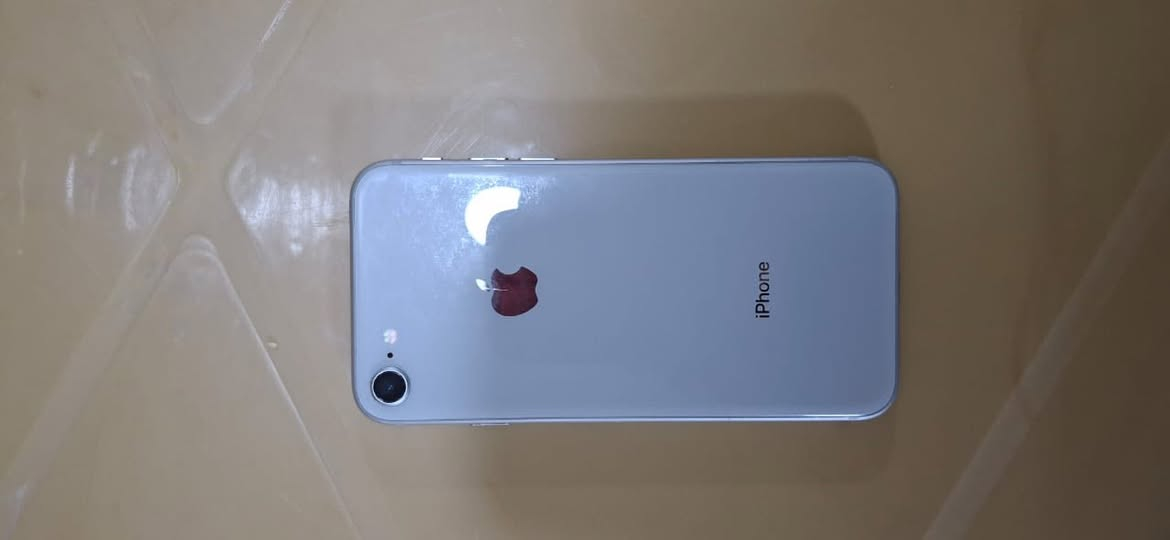 ايفون 8العادي ذاكره 64  مبدل بس بطاريه سعر 100 قفل موشراي لتراسل رجأن


**إذا كنت صاحب هذا الإعلان وتريد حذفه لأي سبب، رجاءا أرسل رسالة إلى الدعم الفني**