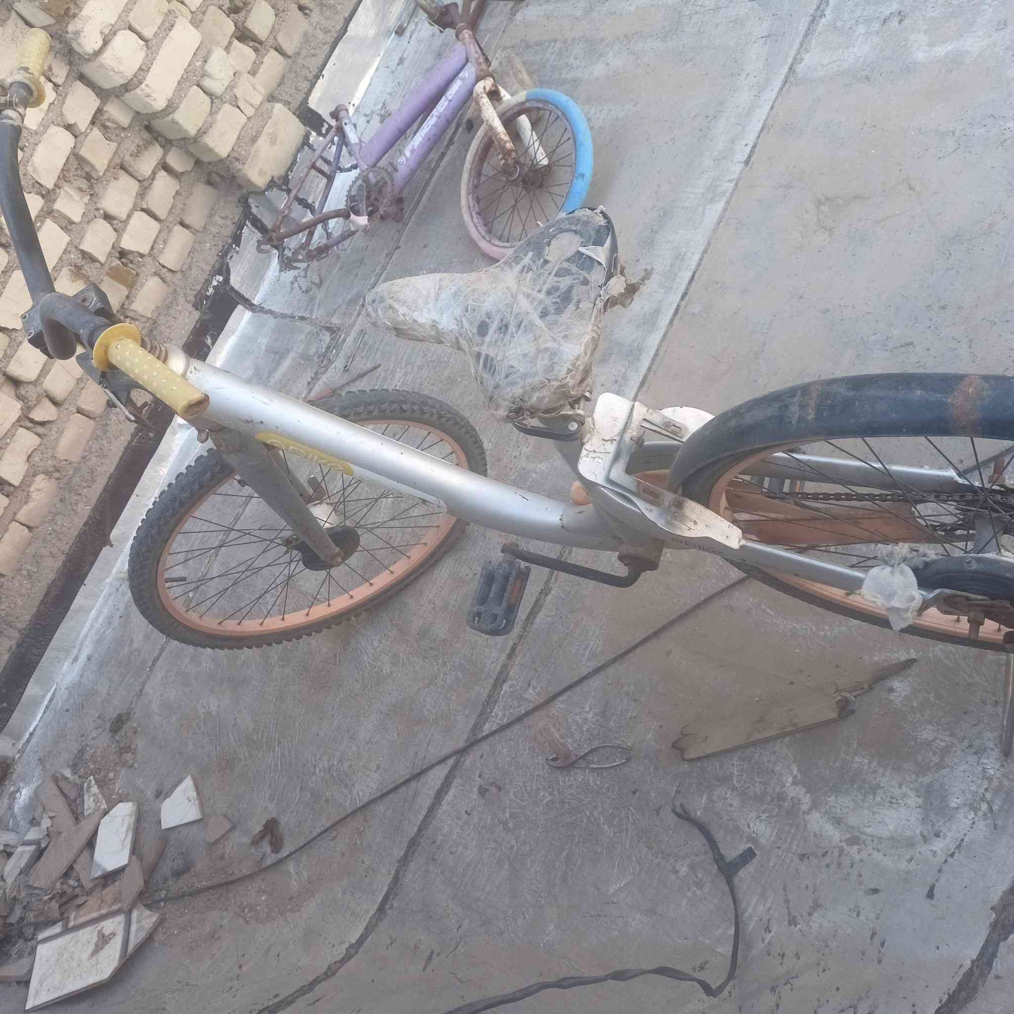 السلام عليكم بايسكل للبيع. 

كامل مابي اي نقص 

السعر 25 

للستفسار اتصل على الرقم 

👇👇👇👇👇👇👇
***********
