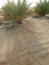 طريق الخور سفوان • ٢ دونم • بيت ٤ غرف