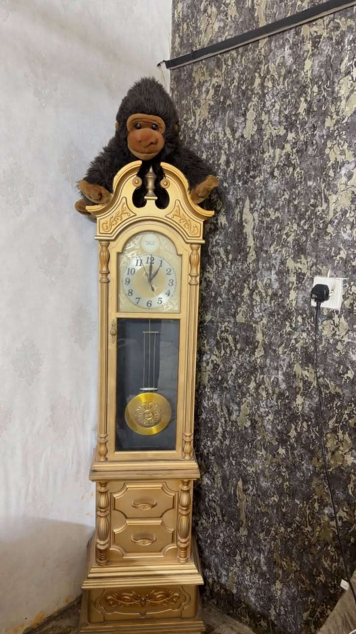 ‭***********‬طبلات ميز بلازمة ساعة
