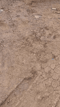 ٥٠٠متر للبيع التفاصيل داخل الفديو  07889727569       07703381050