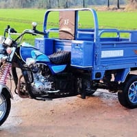 ستوته 2022 • رقم انكليزي • نجف مناذره