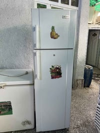 ١٦قدم • ع الفحص • المشتل