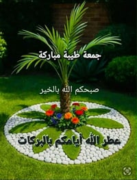 شقه ارضيه • ١٨٠م • الغزاليه شارع المركز