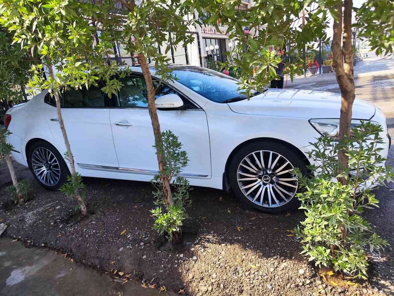 كدينزا 2015 خليجيه كفاله عامه عده رواجز مبدله بالشركه  بيها سونار وجاهزه
ماشيه 120الف 
رقم بغداد مكانه بغداد بسمي 
المواصفات فول 1/1
بانوراما 
بصمه 
ترحيب 
ملئ قلاب ويا البك 
مري شفط 
سستم صوت انفنتي 
ستيرن كهرباء 
تكحمات استيرن 
شفتات استيرن 
كشنات كهربائي سائق والراكب 
تكحمات بالمقصوره الخلفيه 
كشنات تدفاء 
برده 
لايتات يتفرن ويا الستيرن
هوايه مواصفات بيها بعد 
السياره عليه إعدامه كامله صدر كامل امامي خلفي تبريد باتري تأيرات جميع الزيوت بالسياره مبدله كامله مكمله 
السعر اكتب تم يوصلك على خاص 

***********
