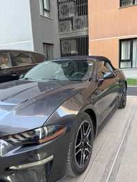 ٢٠١٩ • حادث جانبي • مكينة وكير بشرط