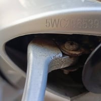 ترايش ماكس منغولي • كفرات ماكس منغولي • تايواني مختم