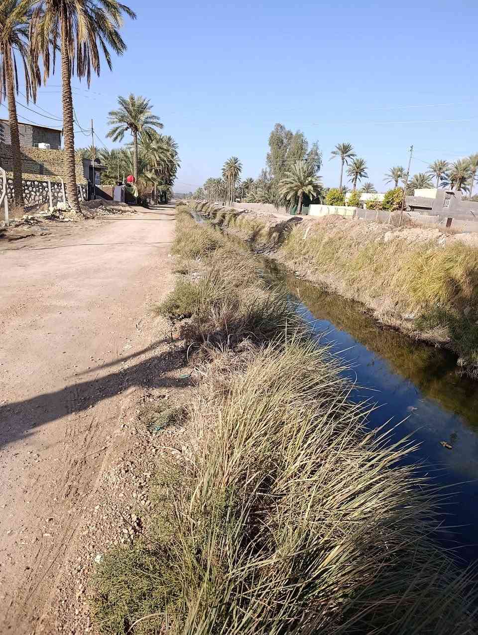 يعلن مكتب وعقارات  بلاد الرافدين للبيع ارض زراعي سند ٢٥ بسم البايع   مساحه ١٤٠٠ متر حله طريق النيل قرب مخازن بيت مرجان مباشر عل جدول  من يرغب بل شراء مراجعت المكتب الكائن حله حي الجزائر  قرب مستشفى الحياه للاستفسار الاتصال  ***********       ***********
