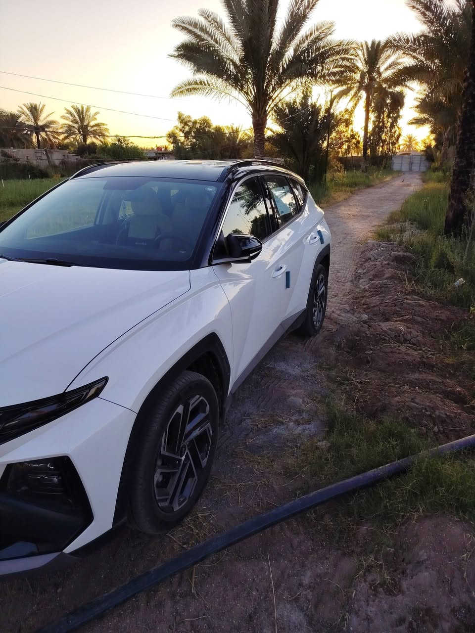 موديل ٢٥  لونين ماشية ٤٠٠٠ مابيها قطرة صبغ السعر ٢٣٠ ورقة المكان بغداد الاتصال+964 770 084 2226


**إذا كنت صاحب هذا الإعلان وتريد حذفه لأي سبب، رجاءا أرسل رسالة إلى الدعم الفني**