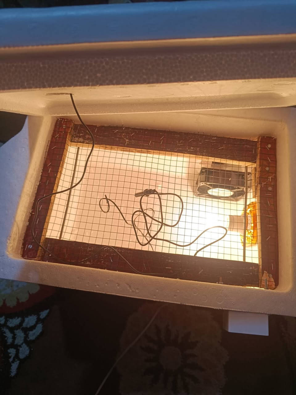 فقاسه جديده للبيع تاخذ 60بيضه
السعر 65


**إذا كنت صاحب هذا الإعلان وتريد حذفه لأي سبب، رجاءا أرسل رسالة إلى الدعم الفني**