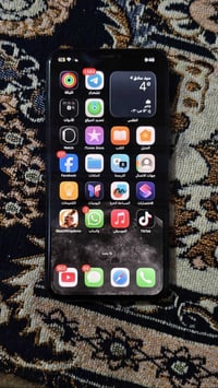 ايفون 11 برو ماكس • ٢٥٦ • زيتوني