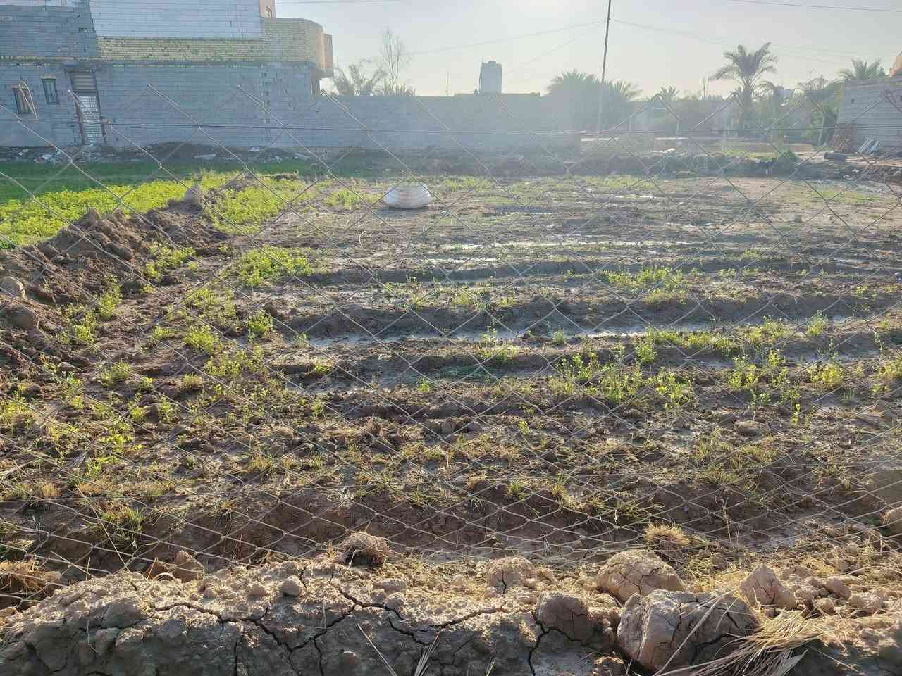 قطعة أرض زراعي  للبيع
المساحة 340 متر الطول 20 + عرض 17
 كافة الخدمات واصله يمها  
مكان القطعه الغراف خلف البراز
  
رقمي للتواصل ***********
