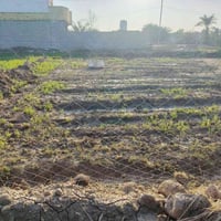 أرض زراعي • الغراف • 340م