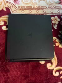 بلي فور سليم • نص تيرا • ضمان شهر