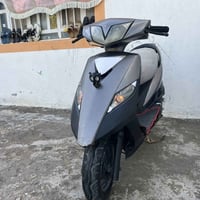 ثعلب • أوراق • كفاله