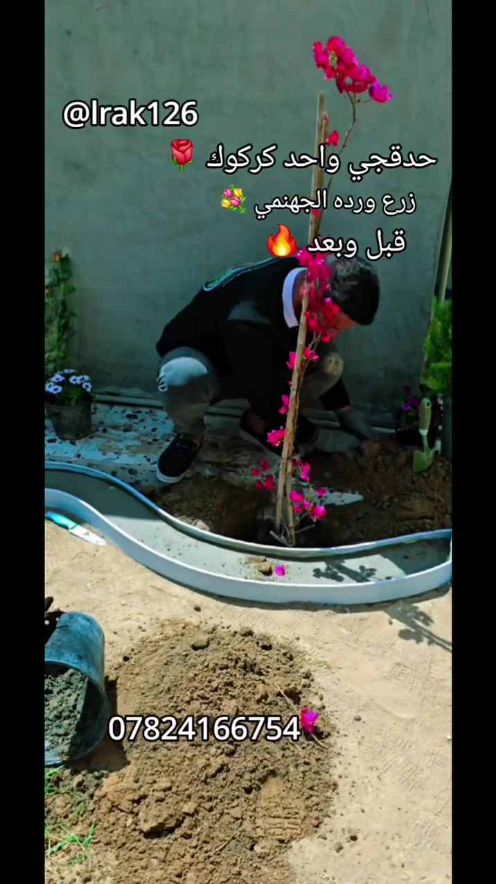 هل تحلم بحديقة أحلامك؟ 🏡✨
لدينا فريق متخصص في تصميم الحدائق في كركوك، جاهزون لتحويل مساحتك الخارجية إلى تحفة فنية! 🎨🌿
نحن نقدم أجمل الديكورات الفنية التي ستزيد من جمال منزلك. 🌟
تواصل معنا الآن ودعنا نبتكر لك حديقة فريدة من نوعها. 📞🌸
نحن هنا لجعل رؤيتك حقيقة! 🌳🤩 للتواصل معنا *********** كتوفر واتساب 
#تصميم_حدائق #كركوك #حدائق_جميلة #ديكور_حدائق
