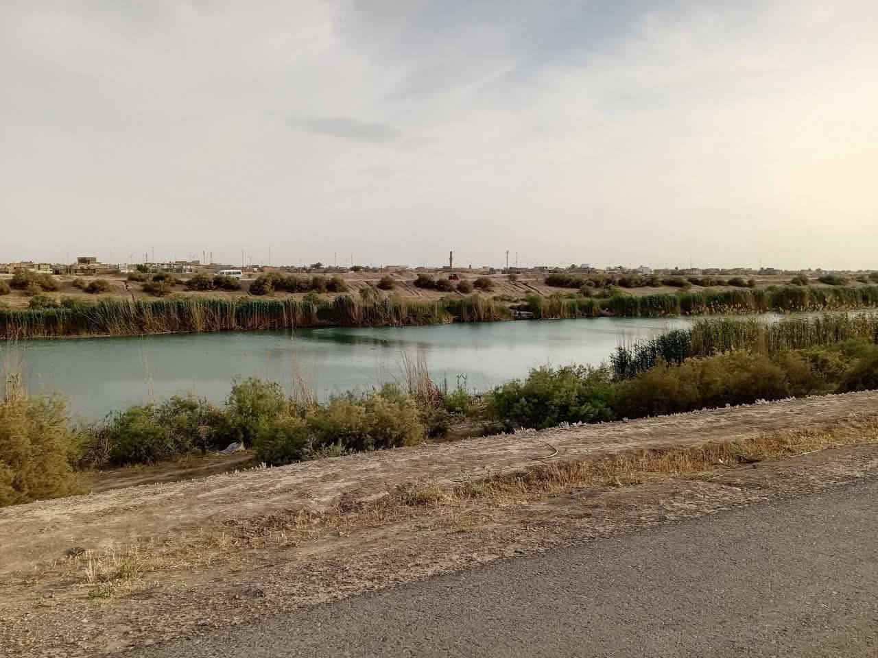 🌟 فرصة استثمارية لأصحاب الإمكانيات المحدودة 🌟
​للبيع أرض زراعية بستان نخيل 🌴 بمساحة 20 دوانم في موقع متميز وهادئ.
​📍 الموقع: سبع البور - ذراع دجلة - منطقة الشيخ عامر (بالعيساوية، عبور الجسر الثاني).
​📜 السند: طابو زراعي (سند 25 أصولي) - فتح بيان فوري.
​💰 السعر: 9 مليون دينار فقط للدونم الواحد.
​🚜 المميزات:
​خدمات كاملة (كهرباء، ماء سقي).
​موقع حيوي قريبه من مدرسة.
​تبعد 12 دقيقة عن السوق وبنات الحسن.
​🤝 الضمان: شرطنا الأساسي (ما تدفع ولا فلس إلا بعد فتح البيان في دائرة الطابو باسمك).
​📞 للاستفسار والتواصل (واتساب):
***********
***********
