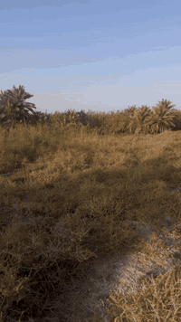 بستان زراعي مساحته3290
الوجه 47
النزال70
الشارع 10 متر
تتوفر كافه الخدمات

السعر 70مع المجال البسيط 
للأستفسار الأتصال على 
***********
