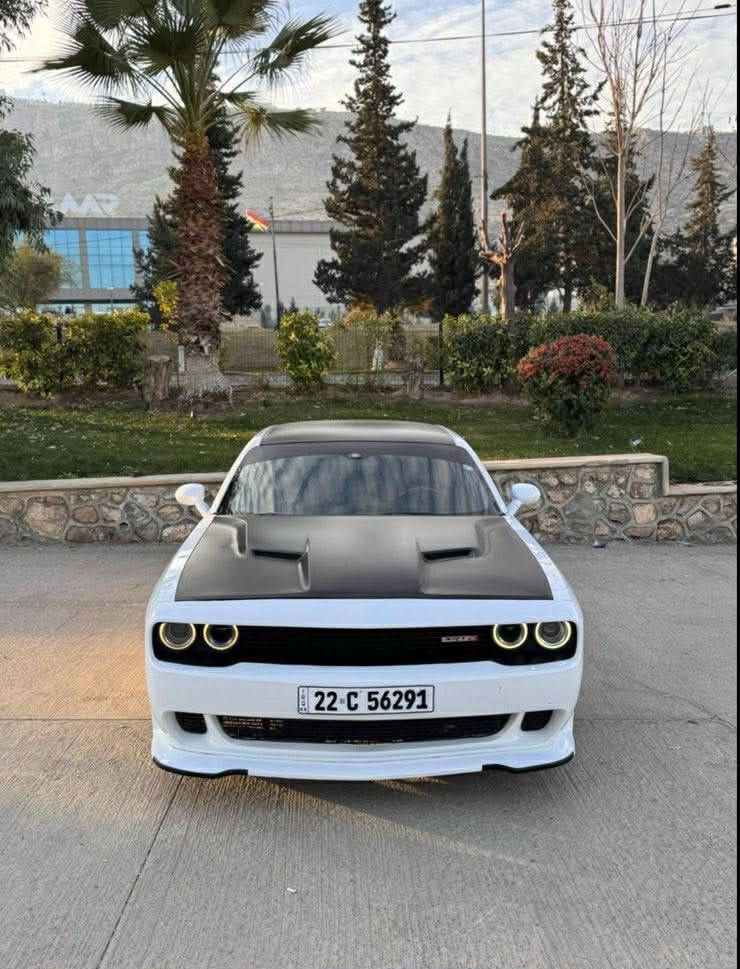 للبيع..
جالنجر رقم اربيل  SXT 2018🇺🇸
ماشيه 92 
السياره بيها بنيد فقط من امريكا ومبدل..
وهنا صار بيها شخط بالجاملغ الخلفي كلير
وجاملغ الثاني صبغ..
السياره ما بيها مصرف 1000 دينار..
ترايها للكويت شرط 🔥
كير مكينه شرط كفاااله
تدفئه تبريد..
شادلها گزوز اطفاء+ تشغيل
دواخل led 
دفيوزر خلفي..
لحية امامي..
دمام سماعه
ويل20 نضيف جدا +تخم تايرات جديد
ما بيها ولا جيك مشتغل بالدشبول 
الحماوه موسس..📍

حتى دسكات مبدل اصلي جديد

ودهن مبدل جديد تجي فقط تشغل وتطلع🤝🏾
السياره رايدها 168 وبيها مجال "

مكاني بغداد
***********
