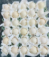 يا الله  السلام عليك طبقة بيض 🐣دندراوي كويتي خط اول فواتح المايات خاص ...
