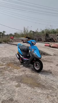 عدله • سلف55 • لايت زنون