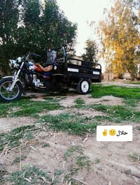 ستوته • موديل 22-23 • بابل محاويل