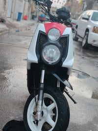 سگنس جبلي • مكفولة • مكينه أصلية