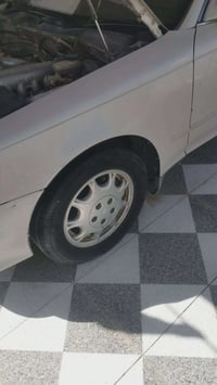 ويل كب • مراوس • بصرة مدينه
