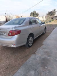 كورلا أمريكي • ٢٠١٠ • رقم بغداد