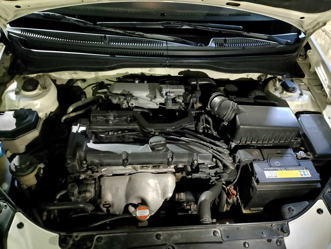 كيا ريو موديل 2010
بلا صبغ وبلا ضرر 
كابون بانزين بيها 
سنوية باسمي 
سنوية وهزة منتهية صار سنتين 
مكينة 16
تبريد وتدفئة شغال 
العنوان الموصل الايسر 
التواصل على الخاص 
السعر 99 وبيها مجال بسيط للشراي


**إذا كنت صاحب هذا الإعلان وتريد حذفه لأي سبب، رجاءا أرسل رسالة إلى الدعم الفني**