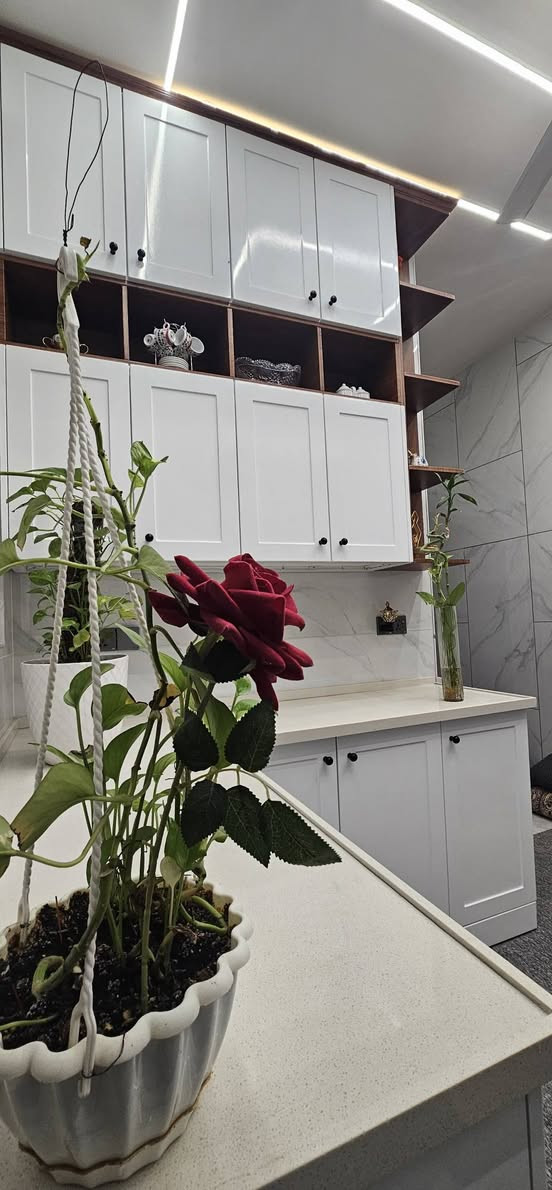 فخر الصناعة العراقية 🇮🇶 #معمل_الشريفي_للالمنيوم 

🏛 نبدل القديم بلجديد 🏛

نتاج أرقى المطابخ العراقية والاوربية والتركية وباحدث الموديلات المودرن والكلاسيك وكل الأنواع والأشكال تجدونها فقط لدينا وبجودة لا مثيل لها 
#مطابخ #ديكور #تصميم #منزل #عراق

كربلاء حي الغدير خلف السوق
قرب جامع الحيدري  
***********
***********
معمل الشريفي للألمنيوم

⚡️https://www.facebook.com/MMH6677?mibextid=ZbWKwL⚡️
