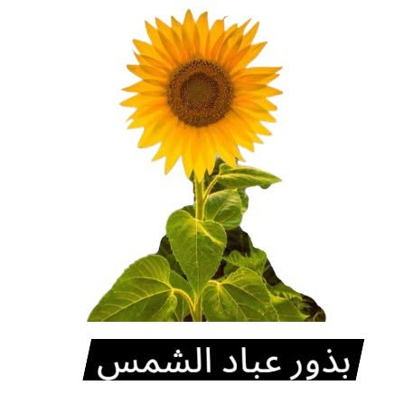 توفر بذور زراعة 🌿🌿🌿
📍 الرمادي شارع 20 فرع المقابل لحلويات العيد قرب الدكتورة زبيدة للاسنان ♦️♦️ اعشاب الدكتور صبري المرسومي♦️♦️ للتواصل ***********

