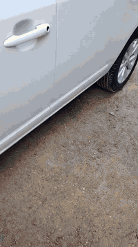 كية كانز 2013 كفالة عامة عدا المؤشر بالصورة فول مواصفات تحكم ستيرن المكينة 2000 ما مفتوحة.
رقم الهاتف /***********
رقم السيارة واسط /رقم انكليزي
بأسمي وتحويل ثاني يوم
