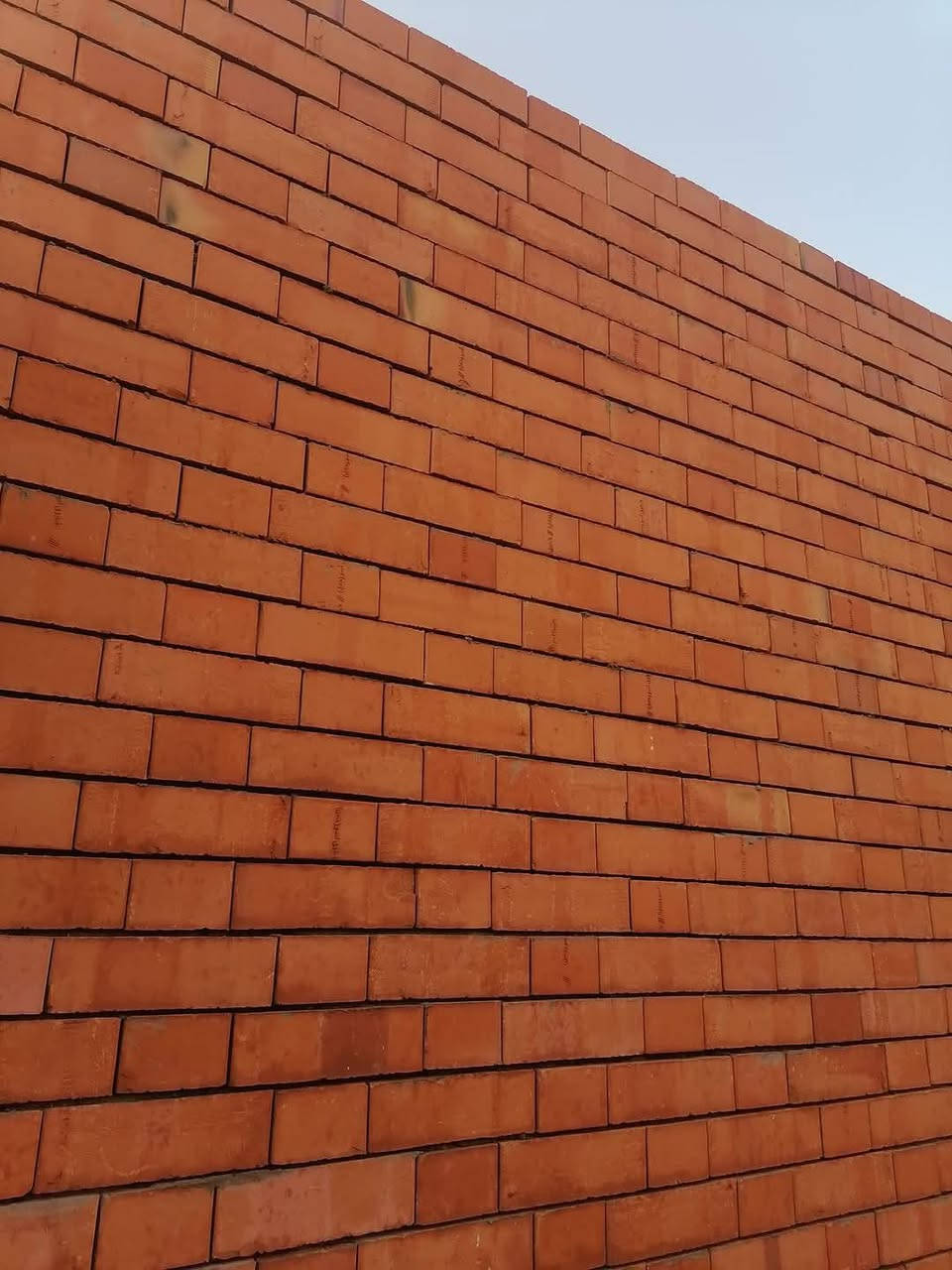 عملنا في حي كندة
بيت بمساحة 360 م
شغل درجة اولى
لدينا كادر مختص لبخ كاشي كهربائي
ترميم بناء
كرسته وعمل
ابوحيدر
***********
